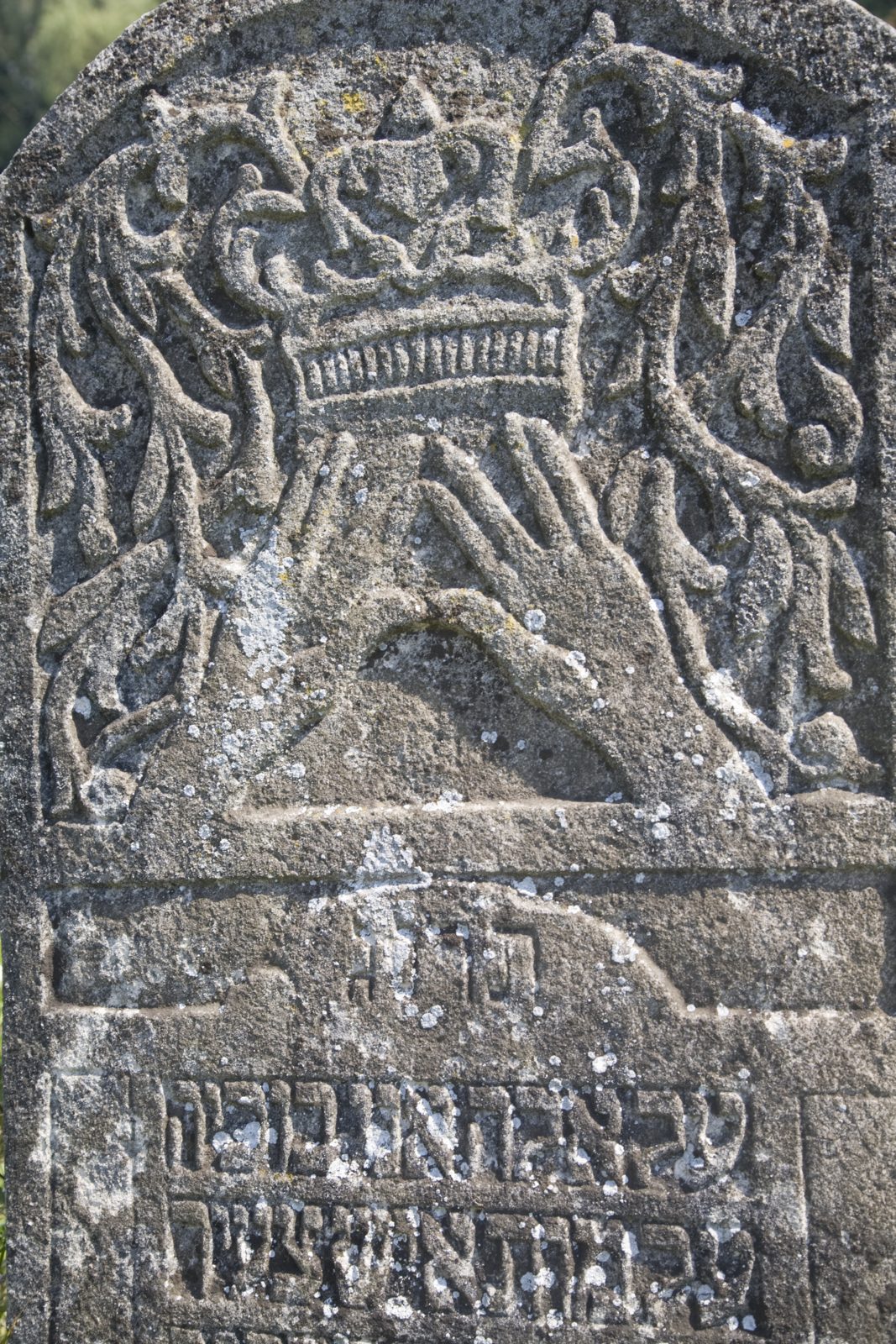 Bet-Hayyim — Sadhora 081