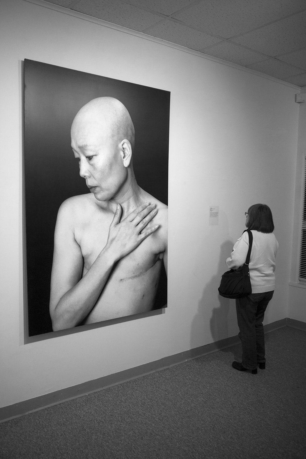 Changed Landscapes — media?path=galleries%2Fchanged landscapes%2F11 breakingtradition opening 04 03 14
