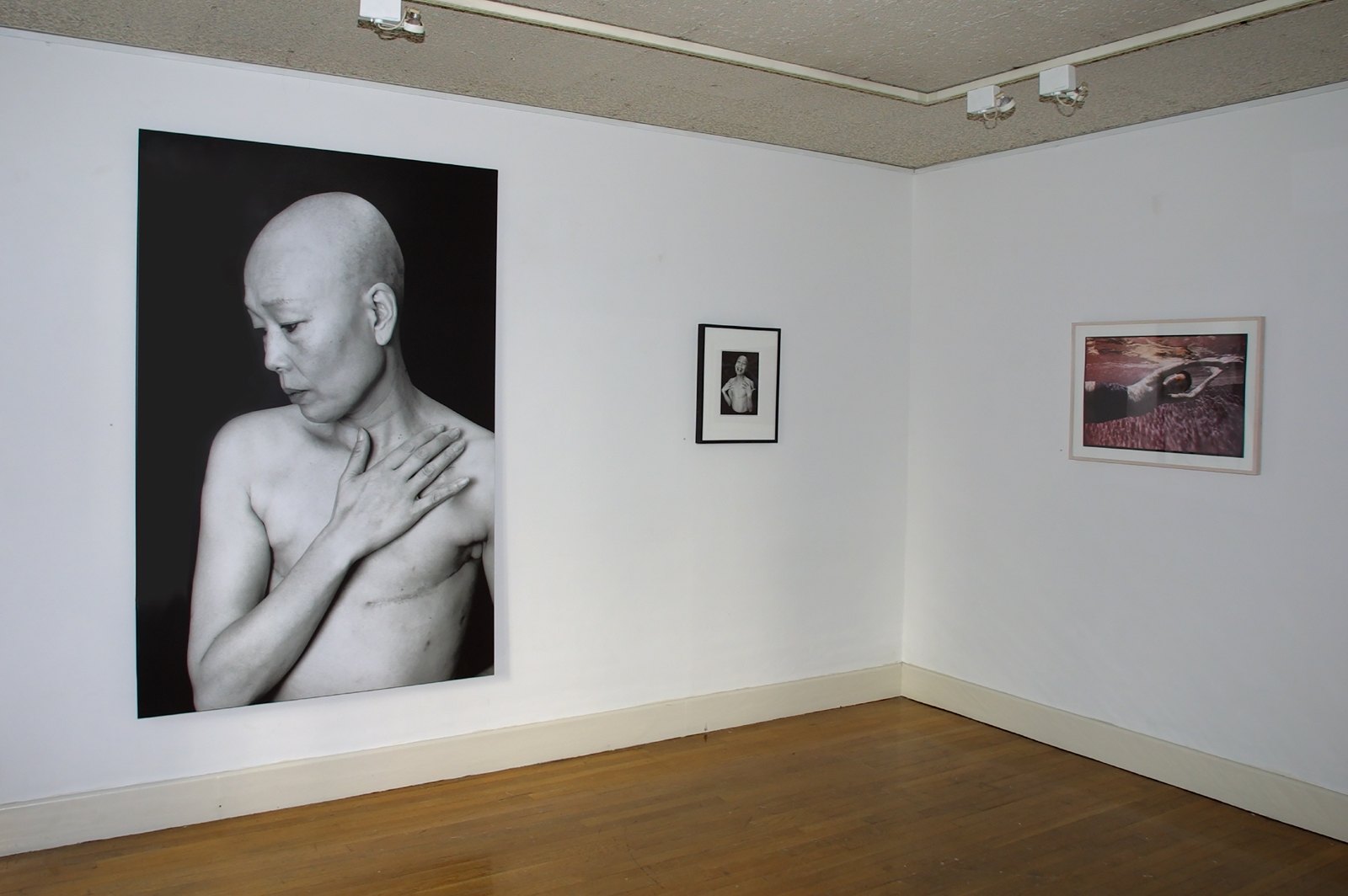 Changed Landscapes — media?path=galleries%2Fchanged landscapes%2F12 changed landscares elsa mott ives gallery 1998