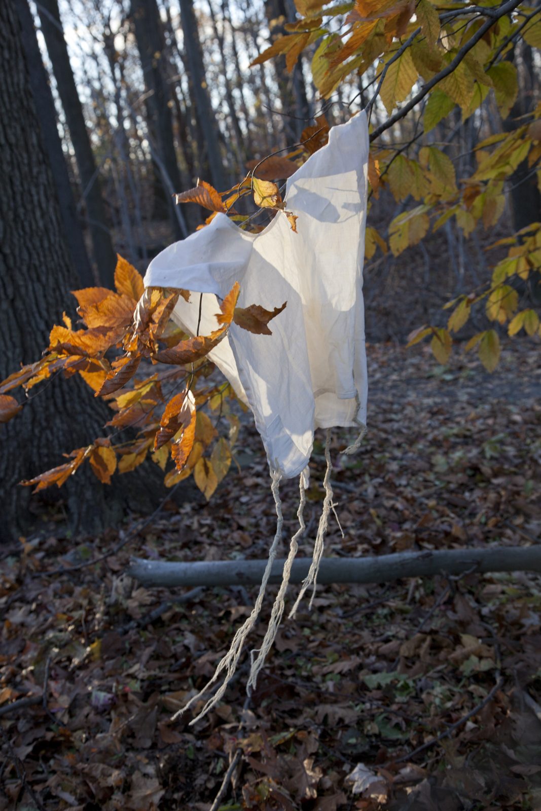 Divine Light — Katan Tallit 278