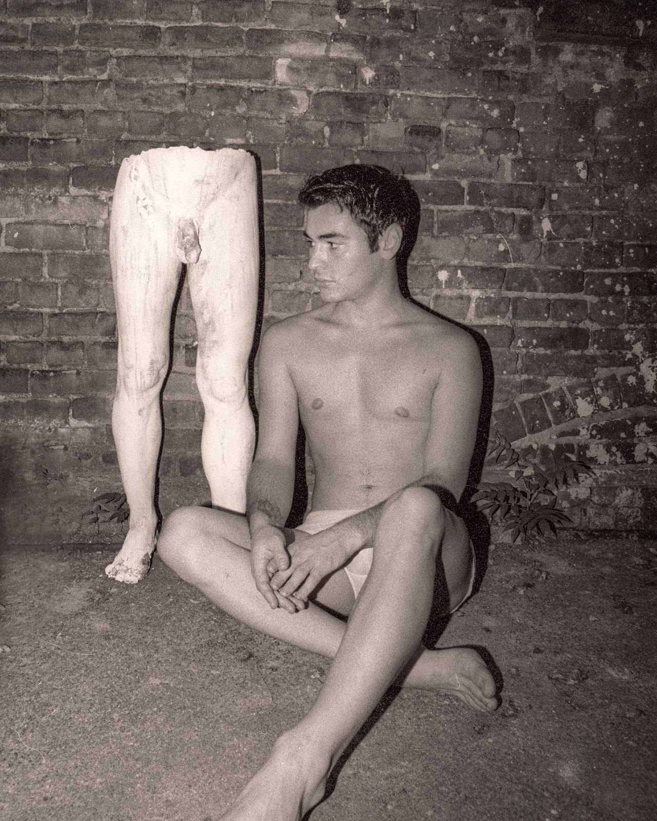 He-She — media?path=galleries%2Fhe she%2F06 backyard moulting 1997