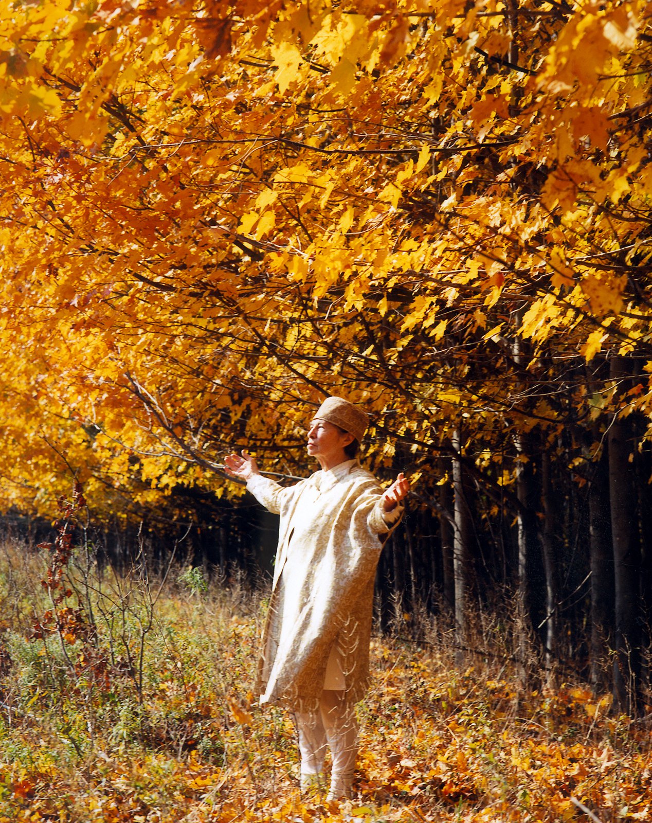 Portraits — media?path=galleries%2Fportraits%2F26 lenore tawney1