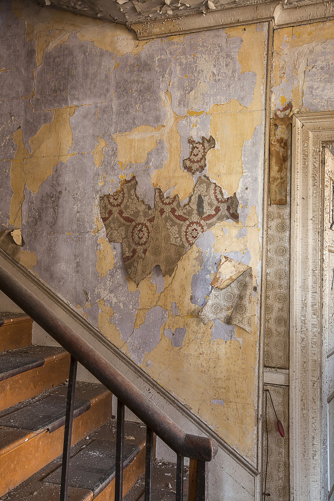 Urban Archeology & Modern Ruins — media?path=galleries%2Furban archeology modern ruins%2F16 walllpaper buttonwood