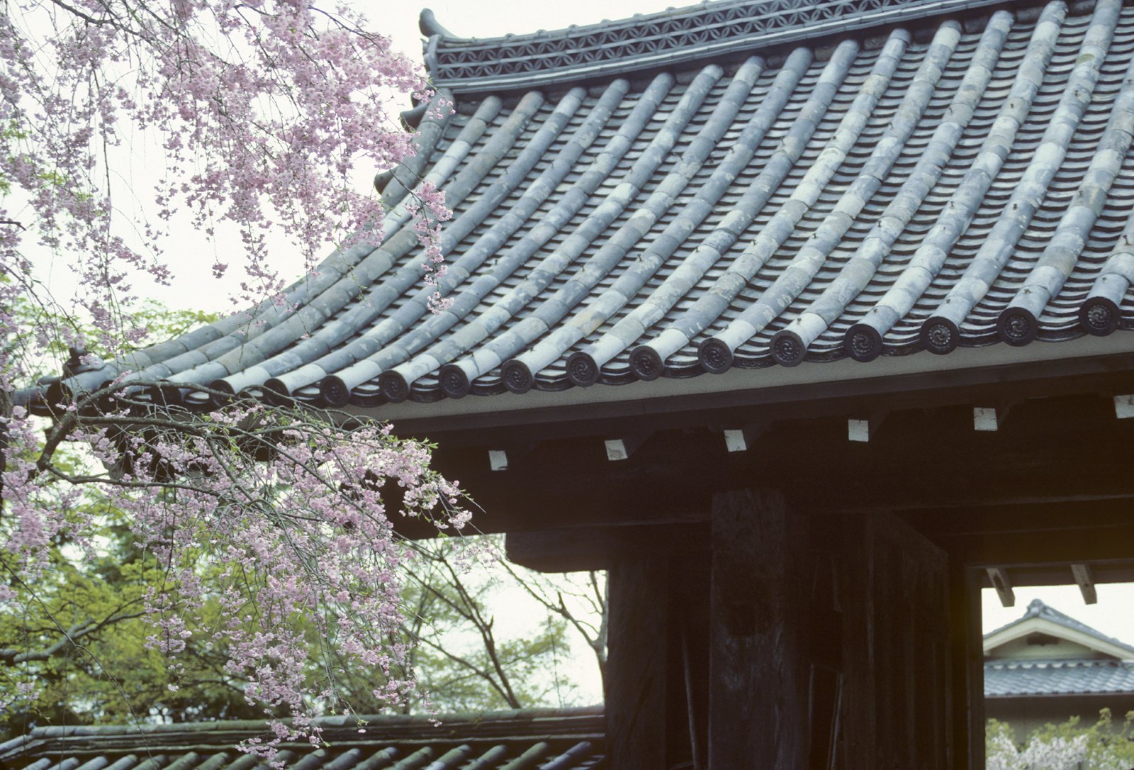 Urban Archeology & Modern Ruins — media?path=galleries%2Furban archeology modern ruins%2F61 kyoto4
